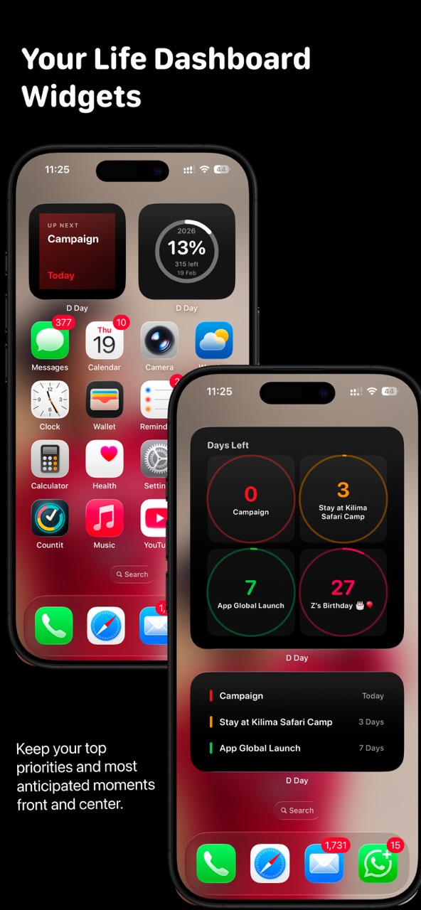DaysLeft app screenshot
